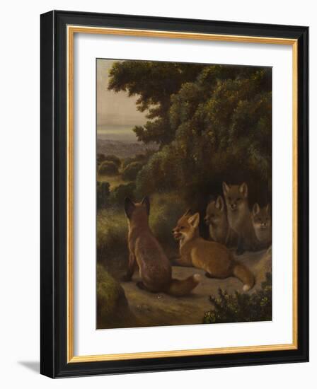 A litter of Fox Cubs by Samuel John Carter-Samuel John Carter-Framed Giclee Print