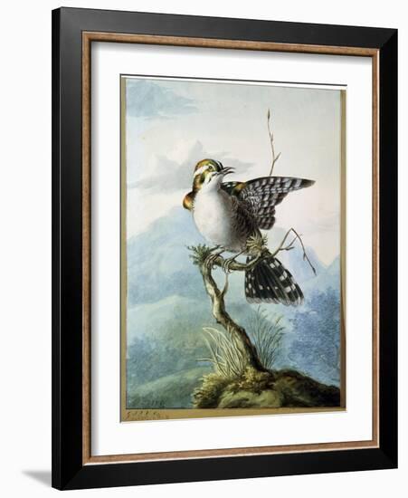 A Little Bird, 1798-Georgius Jacobus Johannes van Os-Framed Giclee Print