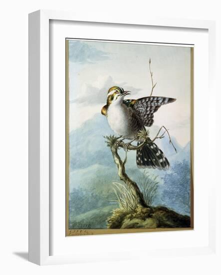 A Little Bird, 1798-Georgius Jacobus Johannes van Os-Framed Giclee Print