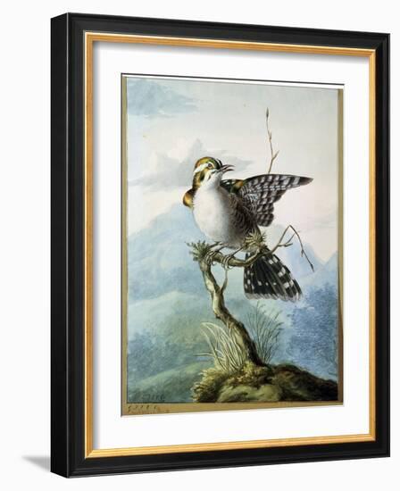 A Little Bird, 1798-Georgius Jacobus Johannes van Os-Framed Giclee Print