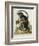 A Little Black Monkey Brought from the West Indies by Commodore Fitzroy Lee-George Edwards-Framed Giclee Print