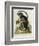 A Little Black Monkey Brought from the West Indies by Commodore Fitzroy Lee-George Edwards-Framed Giclee Print