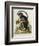 A Little Black Monkey Brought from the West Indies by Commodore Fitzroy Lee-George Edwards-Framed Giclee Print