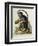 A Little Black Monkey Brought from the West Indies by Commodore Fitzroy Lee-George Edwards-Framed Giclee Print