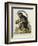 A Little Black Monkey Brought from the West Indies by Commodore Fitzroy Lee-George Edwards-Framed Giclee Print