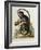 A Little Black Monkey Brought from the West Indies by Commodore Fitzroy Lee-George Edwards-Framed Giclee Print