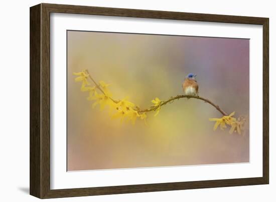 A Little Blue in the Garden-Jai Johnson-Framed Giclee Print