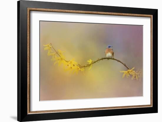 A Little Blue in the Garden-Jai Johnson-Framed Giclee Print