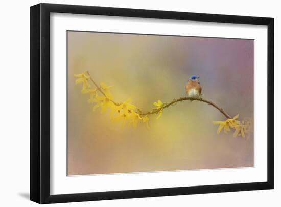 A Little Blue in the Garden-Jai Johnson-Framed Giclee Print