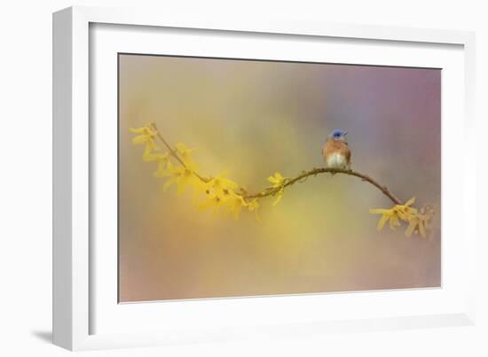 A Little Blue in the Garden-Jai Johnson-Framed Giclee Print