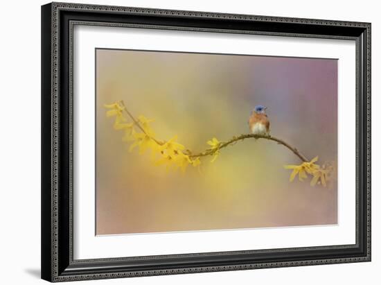 A Little Blue in the Garden-Jai Johnson-Framed Giclee Print