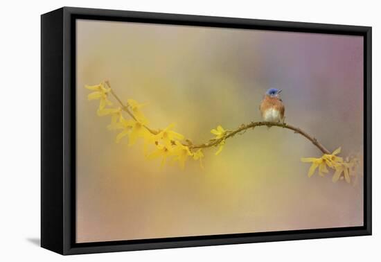 A Little Blue in the Garden-Jai Johnson-Framed Premier Image Canvas