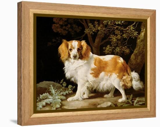 A Liver and White King Charles Spaniel in a Wooded Landscape, 1776-George Stubbs-Framed Premier Image Canvas