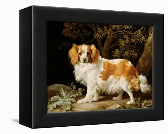 A Liver and White King Charles Spaniel in a Wooded Landscape, 1776-George Stubbs-Framed Premier Image Canvas