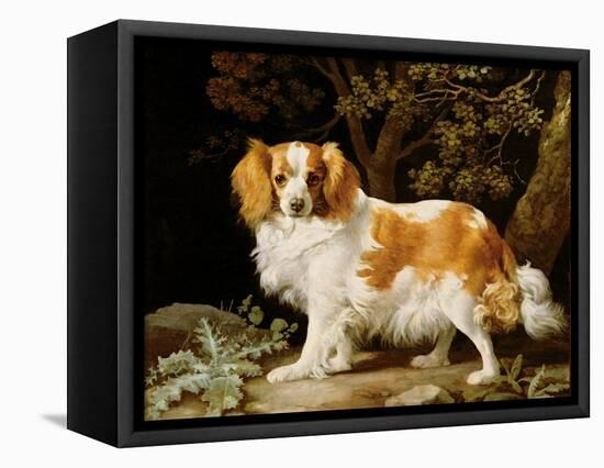 A Liver and White King Charles Spaniel in a Wooded Landscape, 1776-George Stubbs-Framed Premier Image Canvas