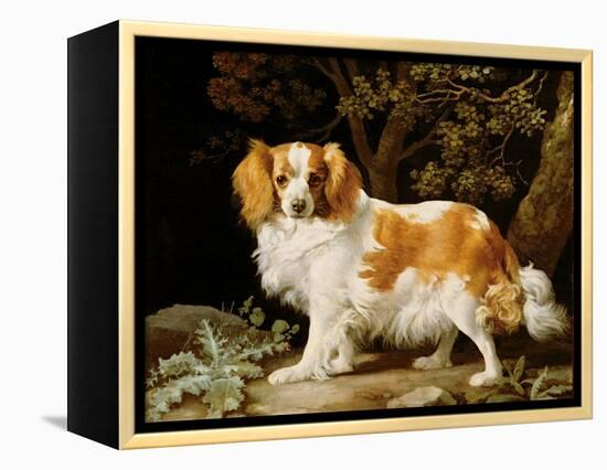 A Liver and White King Charles Spaniel in a Wooded Landscape, 1776-George Stubbs-Framed Premier Image Canvas