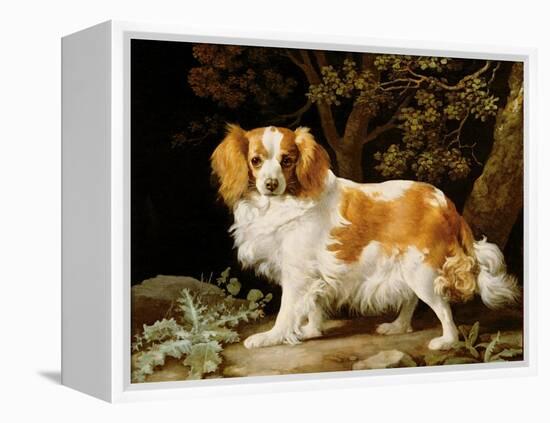 A Liver and White King Charles Spaniel in a Wooded Landscape, 1776-George Stubbs-Framed Premier Image Canvas
