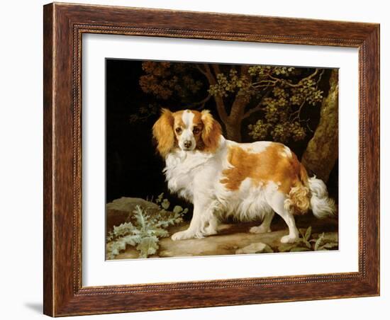 A Liver and White King Charles Spaniel in a Wooded Landscape, 1776-George Stubbs-Framed Giclee Print