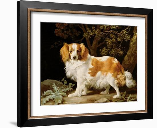 A Liver and White King Charles Spaniel in a Wooded Landscape, 1776-George Stubbs-Framed Giclee Print