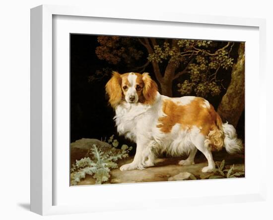 A Liver and White King Charles Spaniel in a Wooded Landscape, 1776-George Stubbs-Framed Giclee Print