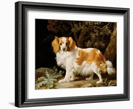 A Liver and White King Charles Spaniel in a Wooded Landscape, 1776-George Stubbs-Framed Giclee Print