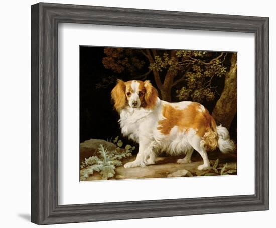 A Liver and White King Charles Spaniel in a Wooded Landscape, 1776-George Stubbs-Framed Giclee Print