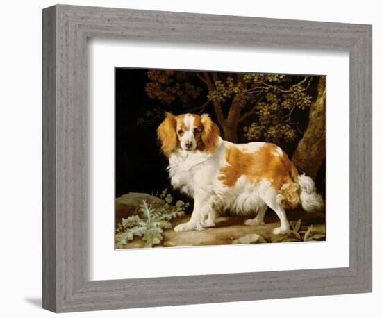 A Liver and White King Charles Spaniel in a Wooded Landscape, 1776-George Stubbs-Framed Giclee Print