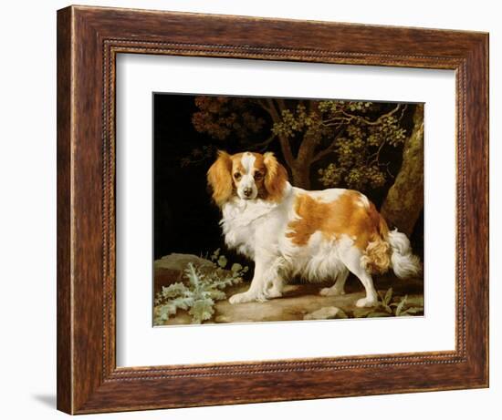 A Liver and White King Charles Spaniel in a Wooded Landscape, 1776-George Stubbs-Framed Giclee Print