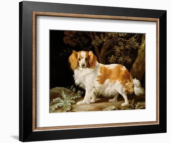 A Liver and White King Charles Spaniel in a Wooded Landscape, 1776-George Stubbs-Framed Giclee Print