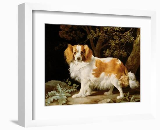A Liver and White King Charles Spaniel in a Wooded Landscape, 1776-George Stubbs-Framed Giclee Print