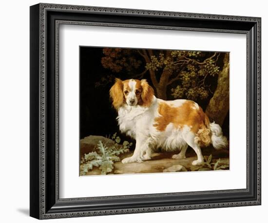 A Liver and White King Charles Spaniel in a Wooded Landscape, 1776-George Stubbs-Framed Giclee Print