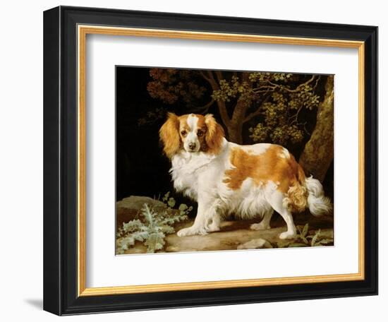 A Liver and White King Charles Spaniel in a Wooded Landscape, 1776-George Stubbs-Framed Giclee Print