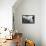 A Llama Watches Out over Isla Del Pescado Above Salar De Uyuni-Alex Saberi-Framed Premier Image Canvas displayed on a wall