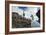 A Llama Watches Out over Isla Del Pescado Above Salar De Uyuni-Alex Saberi-Framed Photographic Print