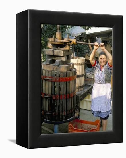 A Local Winemaker Pressing Her Grapes at the Cantina, Torano Nuovo, Abruzzi, Italy-Michael Newton-Framed Premier Image Canvas