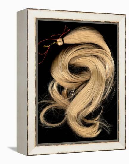 A Lock of Blonde Synthetic Hair-Winfred Evers-Framed Premier Image Canvas