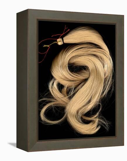 A Lock of Blonde Synthetic Hair-Winfred Evers-Framed Premier Image Canvas