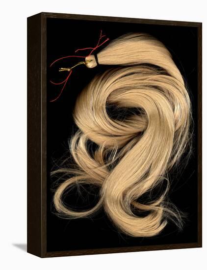 A Lock of Blonde Synthetic Hair-Winfred Evers-Framed Premier Image Canvas