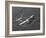 A Lockheed P-38 Lightning Fighter Aircraft in Flight-Stocktrek Images-Framed Photographic Print