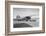 A Lockheed Wasp-Powered Vega Plane-Bettmann-Framed Photographic Print