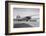 A Lockheed Wasp-Powered Vega Plane-Bettmann-Framed Photographic Print