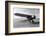 A Lockheed Wasp-Powered Vega Plane-Bettmann-Framed Photographic Print