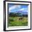 A Lone African Elephant (Loxodonta Africana) by Mt. Kilimanjaro, Amboseli Nat'l Park, Kenya-Miva Stock-Framed Photographic Print