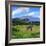 A Lone African Elephant (Loxodonta Africana) by Mt. Kilimanjaro, Amboseli Nat'l Park, Kenya-Miva Stock-Framed Photographic Print