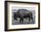 A Lone Bison Plods Through a Sudden Snowstorm in Grand Teton National Park, Wyoming-Jason J. Hatfield-Framed Photographic Print