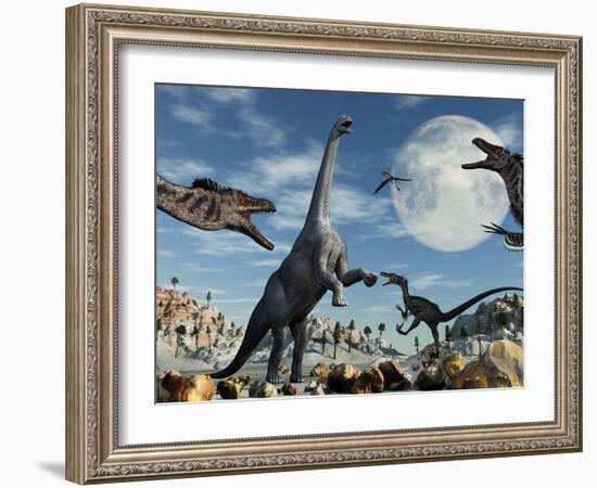 A Lone Camarasaurus Dinosaur Is Confronted by a Pack of Velociraptors-Stocktrek Images-Framed Photographic Print