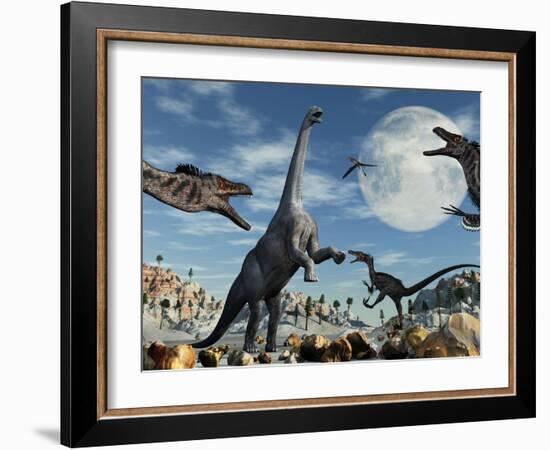 A Lone Camarasaurus Dinosaur Is Confronted by a Pack of Velociraptors-Stocktrek Images-Framed Photographic Print