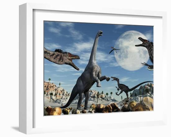 A Lone Camarasaurus Dinosaur Is Confronted by a Pack of Velociraptors-Stocktrek Images-Framed Photographic Print