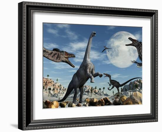 A Lone Camarasaurus Dinosaur Is Confronted by a Pack of Velociraptors-Stocktrek Images-Framed Photographic Print