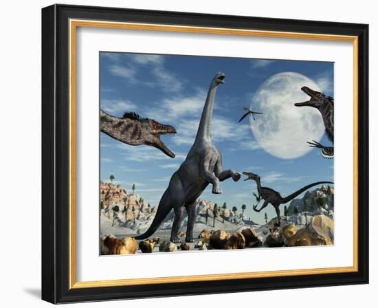 A Lone Camarasaurus Dinosaur Is Confronted by a Pack of Velociraptors-Stocktrek Images-Framed Photographic Print